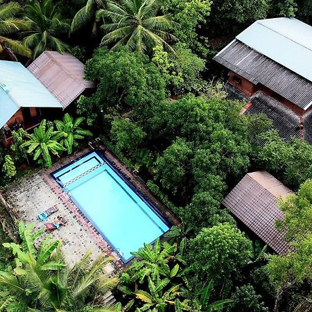 Sun And Green Eco Lodge - Dambulla Zewnętrze zdjęcie