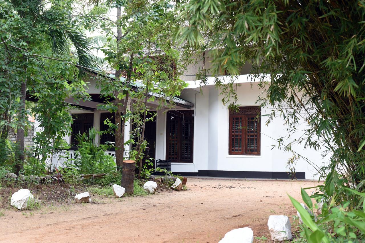 Sun And Green Eco Lodge - Dambulla Zewnętrze zdjęcie