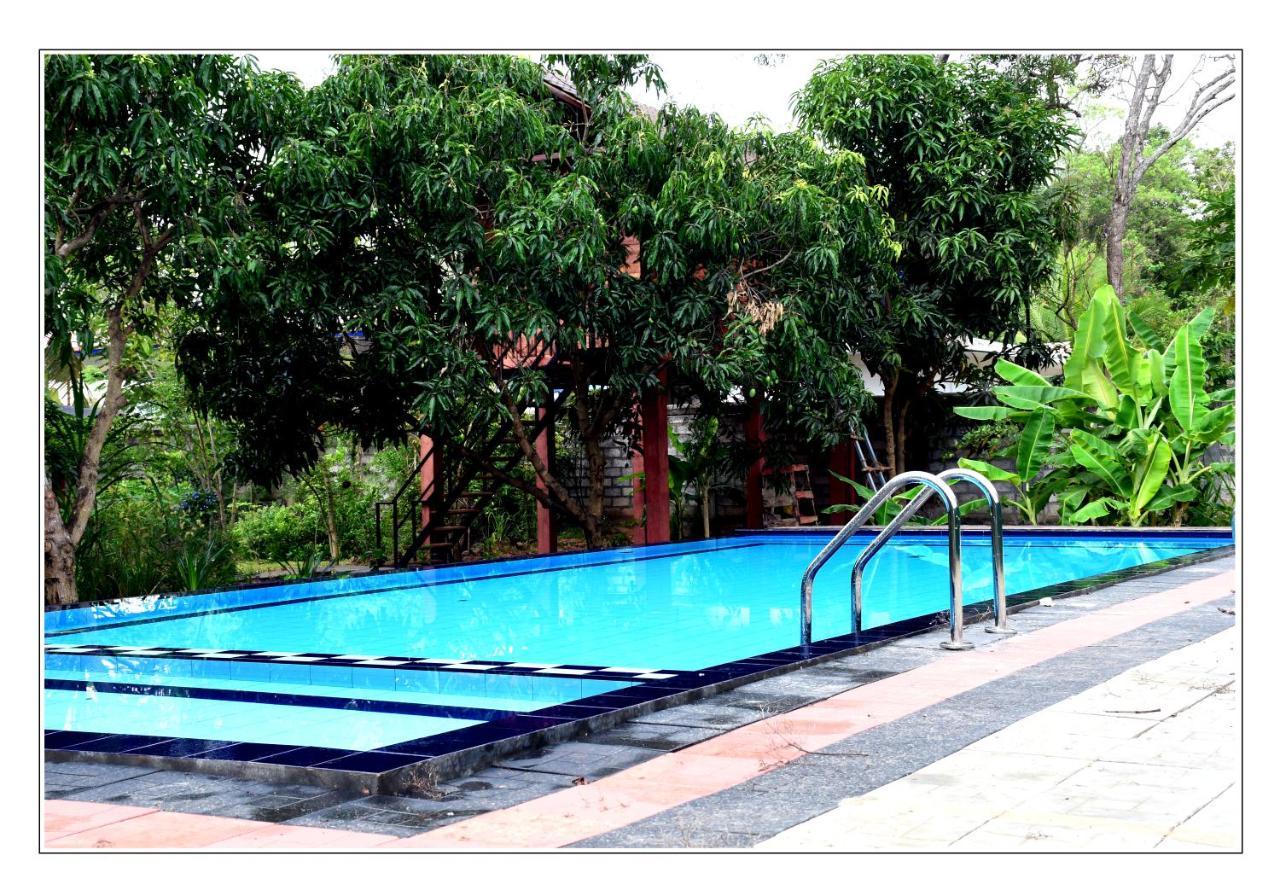 Sun And Green Eco Lodge - Dambulla Zewnętrze zdjęcie