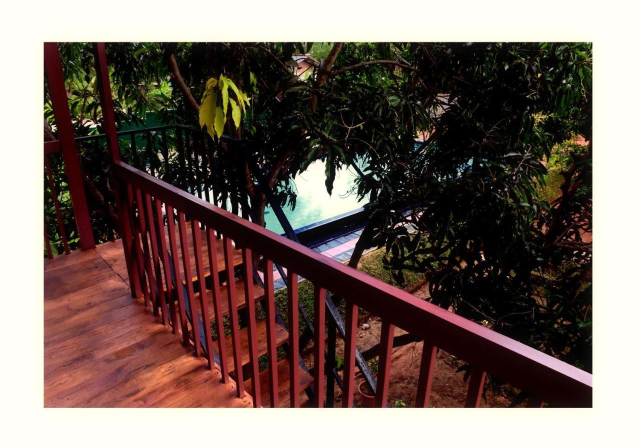 Sun And Green Eco Lodge - Dambulla Zewnętrze zdjęcie