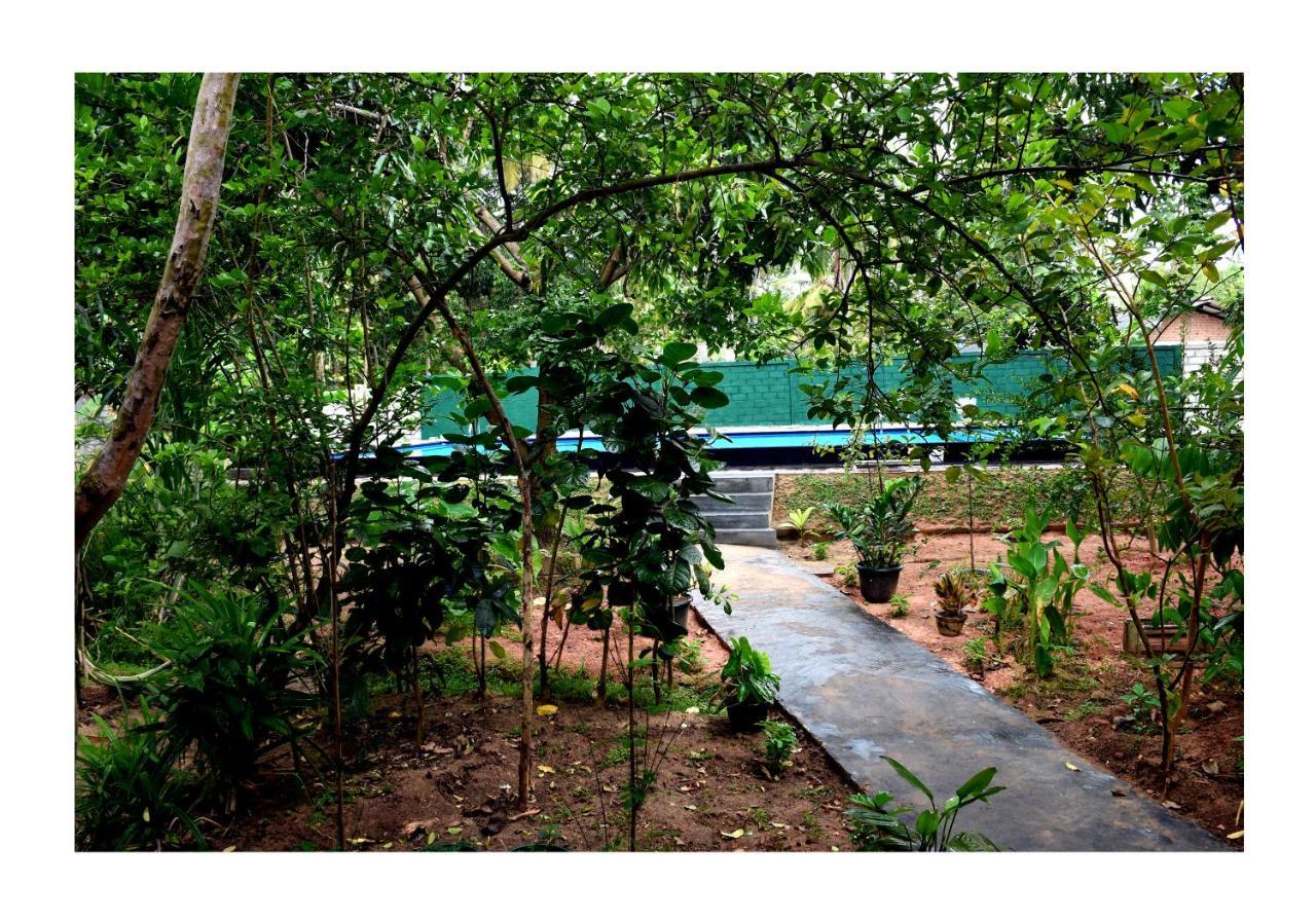 Sun And Green Eco Lodge - Dambulla Zewnętrze zdjęcie