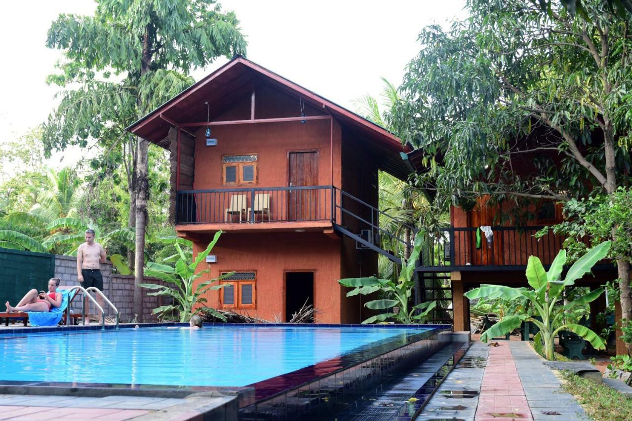 Sun And Green Eco Lodge - Dambulla Zewnętrze zdjęcie
