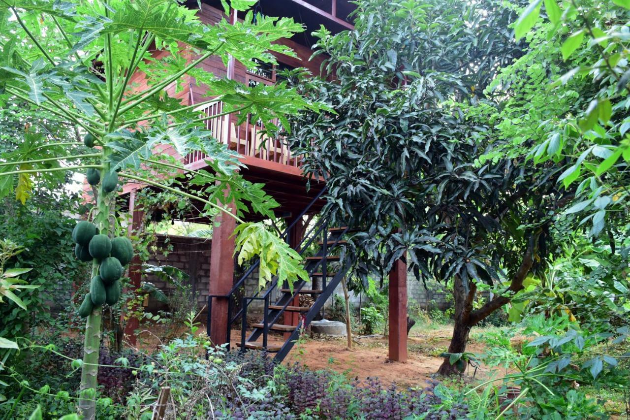 Sun And Green Eco Lodge - Dambulla Zewnętrze zdjęcie